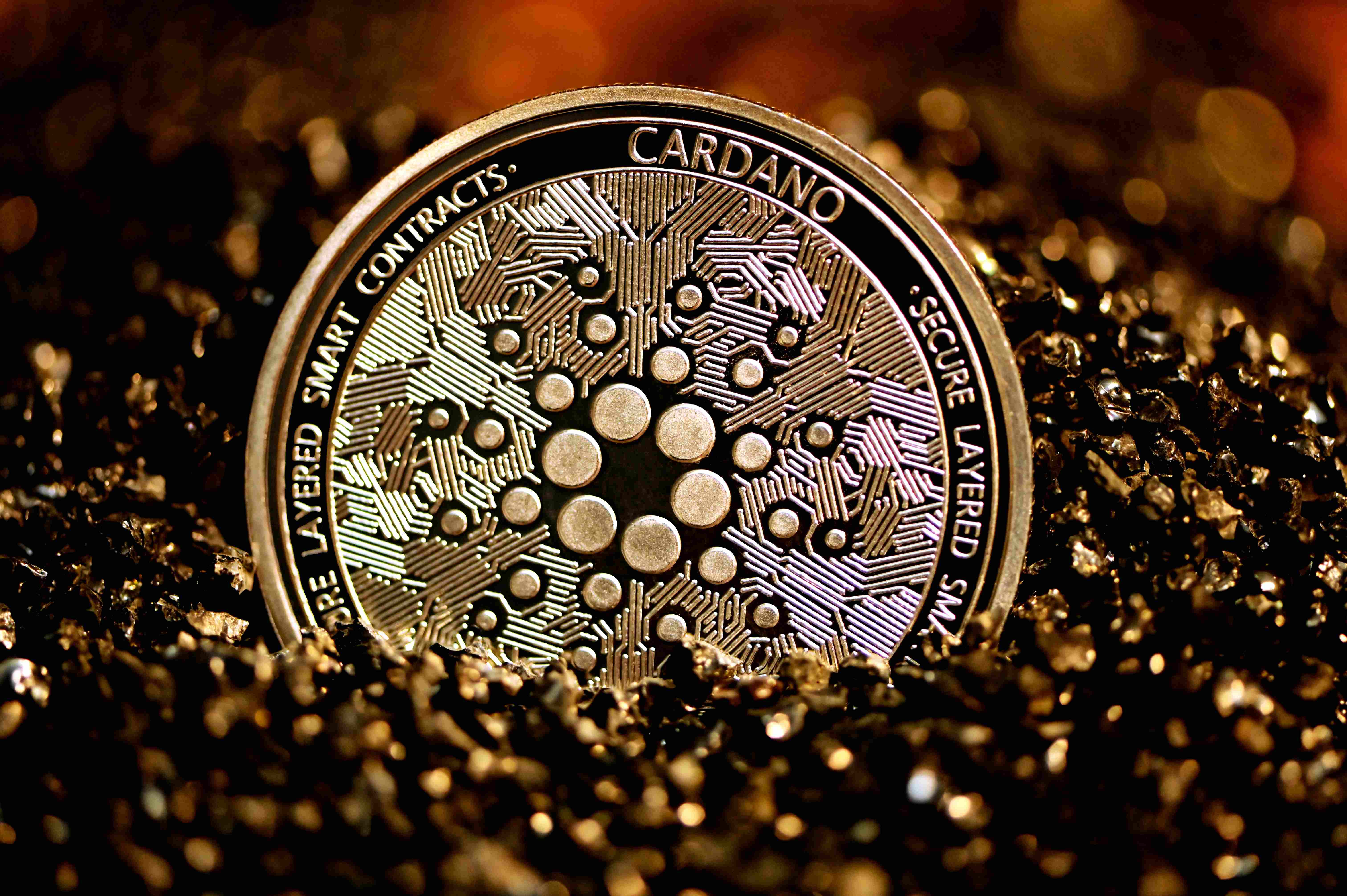 Top 6 New Cardano Projects Will Make 100x